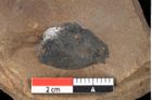 Foto (Detailansicht) von Pinus hepios Unger (NHMW-GEO-2024-0188-0218)